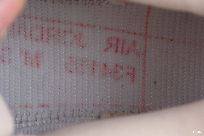 Bmlin Are the Wild (GS) Jordan Things Where DH0572-264 Retro 4 0821